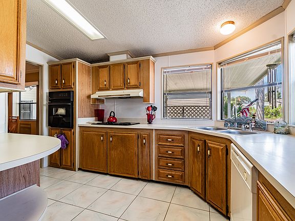 DSC_9702-Edit_10112021