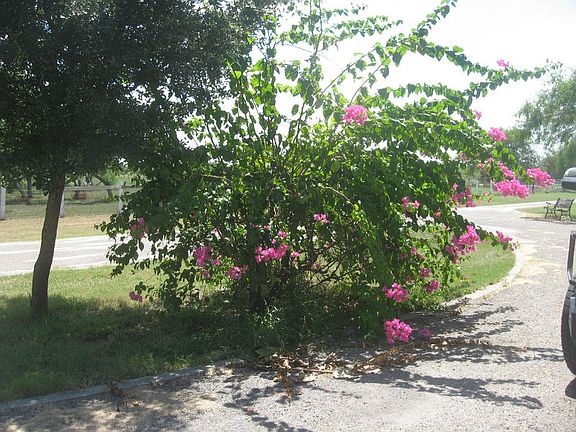 2nd image of 790 County Road 3061