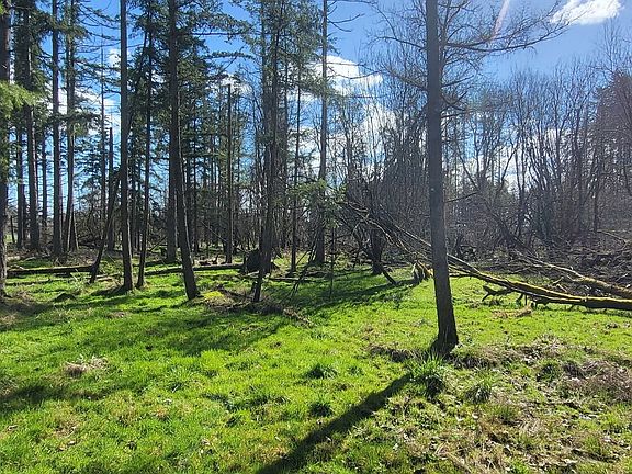5th image of 444 Meier Road