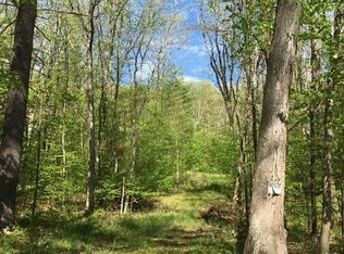 Skinners Falls Rd, Cochecton, NY 12726
