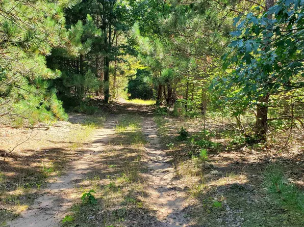 0 Marilla Rd, Copemish, MI 49625