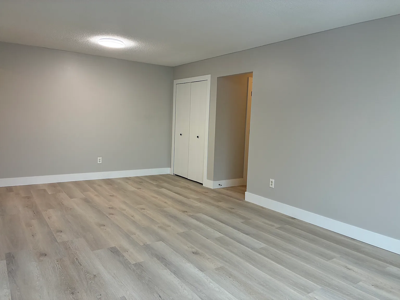 2 bed, 1000 sqft, $1,600 — Photo 4