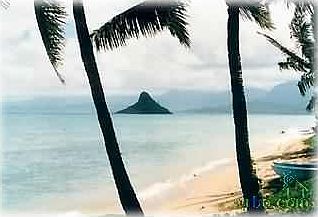 2nd image of 49-671 Kamehameha Hwy