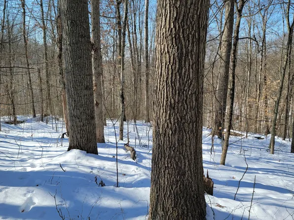 0 Winland Rd Tract 6, Graysville, OH 45734