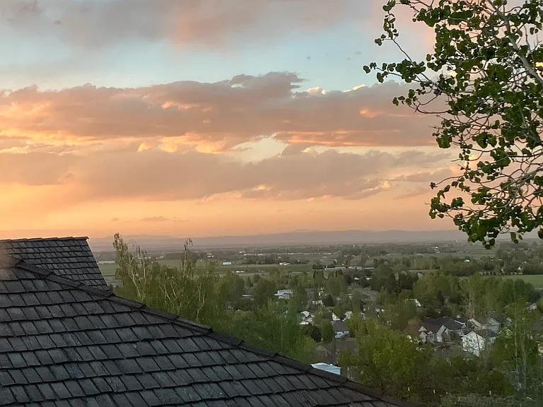 view from kitchen window