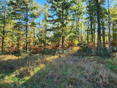 102 Black Diamond Dr, New Castle, VA, 24127