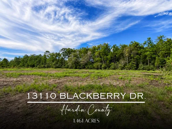 13110 Blackberry Dr, Lumberton, TX 77657