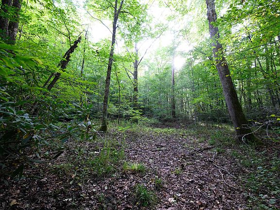 4th image of LOT 1 Deep Hollow Rd