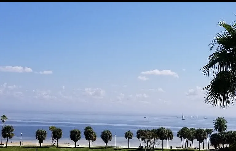 View of Tampa Bay and beach from balcony