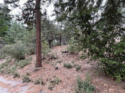 5910 Lake Dr #68, Angelus Oaks, CA, 92305