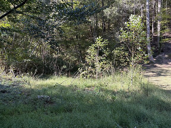 5th image of 0 N Clear Fork Rd #1