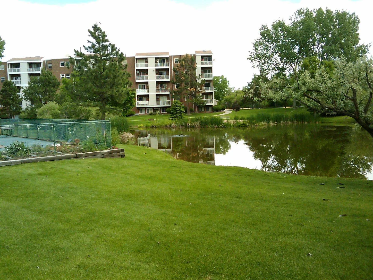1 bed, 800 sqft, $1,675 — Photo 2