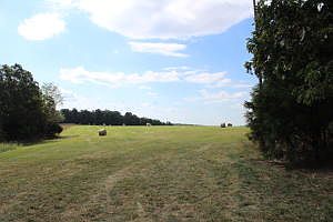 1st image of 0 Marion County #8046