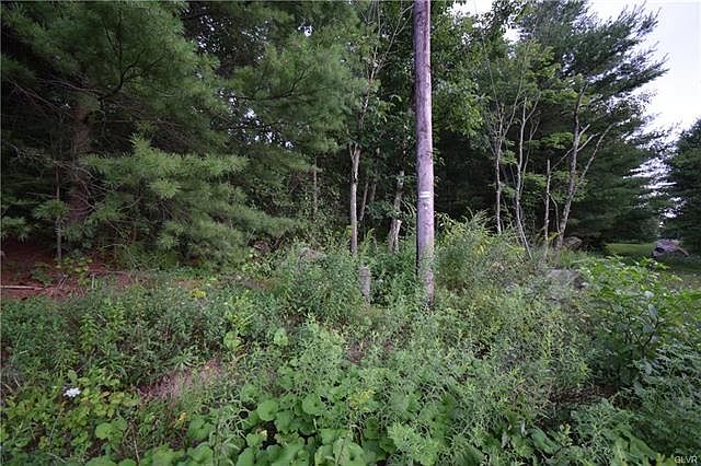 2nd image of Towhee Dr