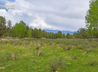 4250 Doe Valley Rd, Guffey, CO 80820