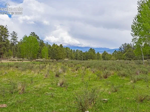 4250 Doe Valley Rd, Guffey, CO 80820