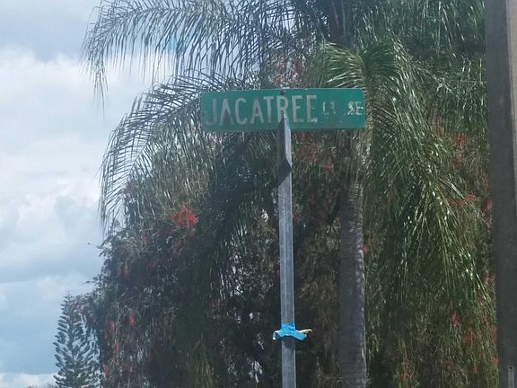 5th image of 10654 Jacatree Ct