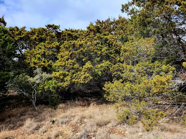 2066 Stallion Springs Dr LOT 254, Fischer, TX 78623