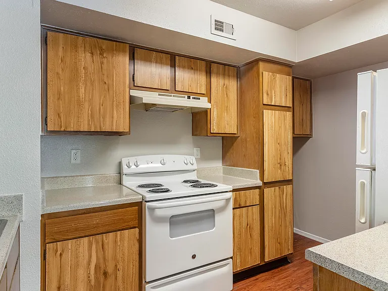 2911 Sycamore Springs Dr — Photo 51