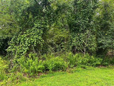 LOT 74 Cobalt Bay Dr LOT 74, Shirley, AR, 72153