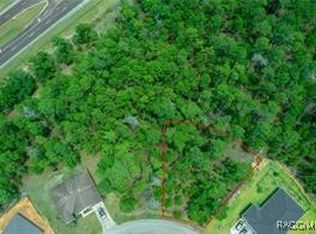 91 Bells Of Ireland Ct, Homosassa, FL 34446