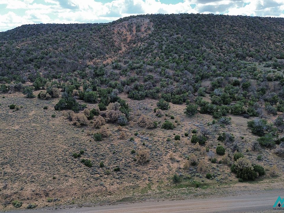 1st image of LOT One Nm 603 1