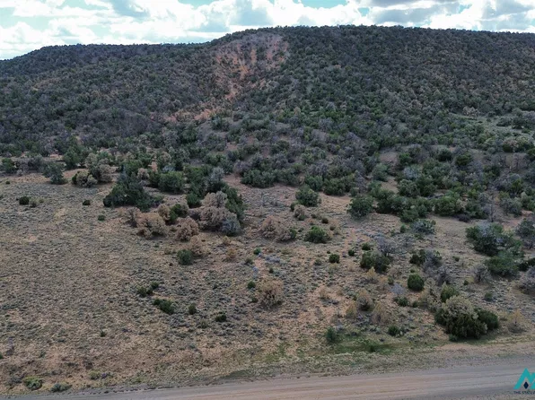 LOT One Nm 603 1, Pie Town, NM 87827