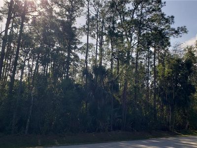 25187 Catskill Dr, Bonita Springs, FL, 34135