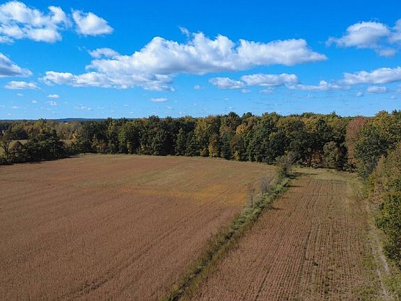 2nd image of 2867 Capac Rd