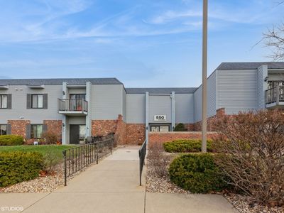 550 75th St APT 201, Downers Grove, IL, 60516