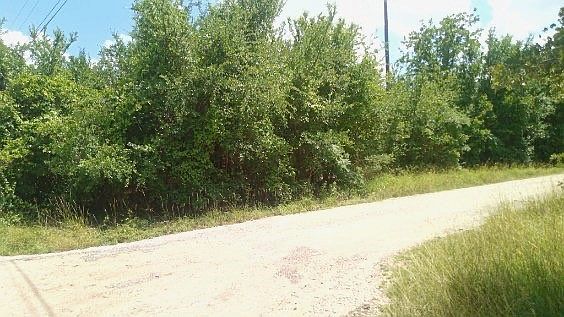 3rd image of 5643 Black Pine Cir