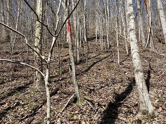 5th image of 0 Neat Rd