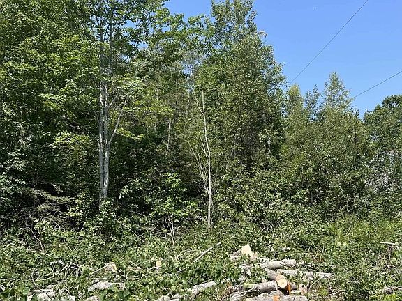 2nd image of 2 Martins Rd