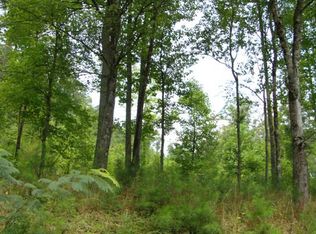 Johnsonville Rd, Murphy, NC 28906