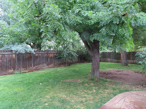 Fenced Backyard
