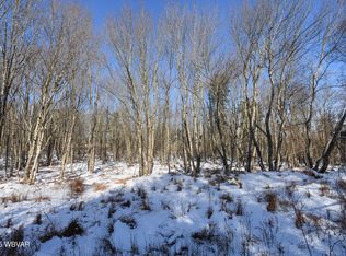 31 Black Bear Trl, Loganton, PA 17747