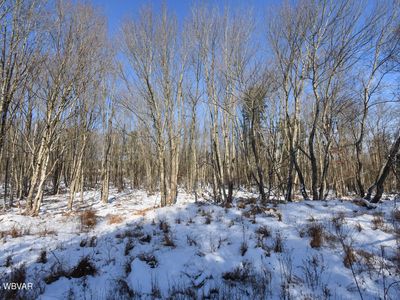 31 Black Bear Trl, Loganton, PA, 17747