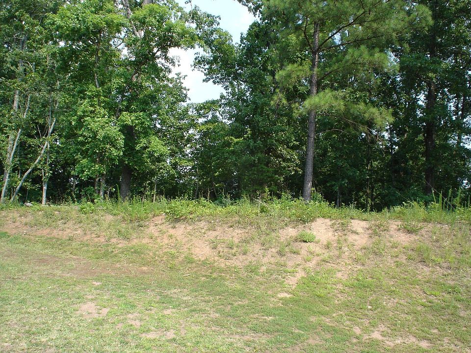 2nd image of 425 Burgess Mill Trl