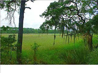 2nd image of 3086 Marsh Gate Dr