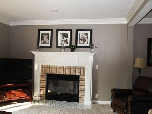 Wood Burning Fireplace