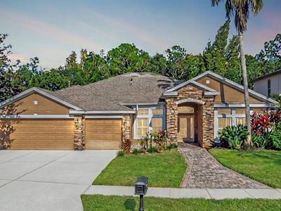 16121 Brecon Palms Pl, Tampa, FL, 33647