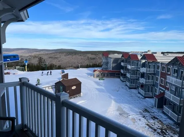 426-83 Allegheny Springs Ln, Snowshoe, WV 26209