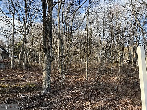 2nd image of 44 E Players Way