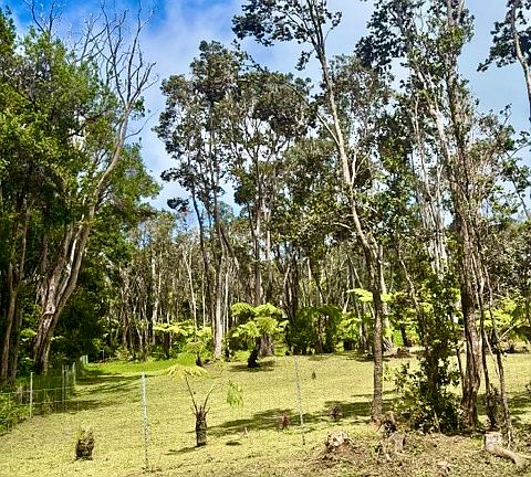2nd image of Haunani Rd Lot 3