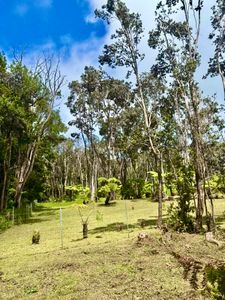 HAUNANI RD, Volcano, HI, 96785