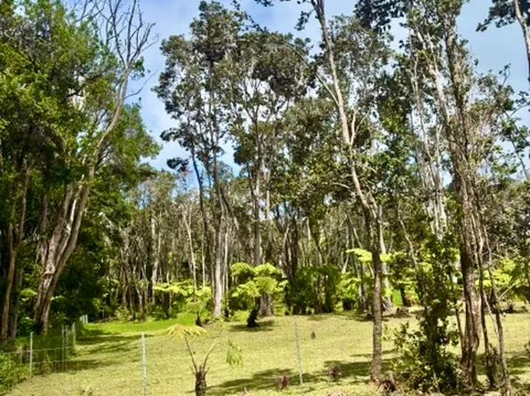 HAUNANI RD, Volcano, HI 96785