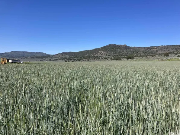 11069 Mosquito Rd, Gerlach, NV 89412