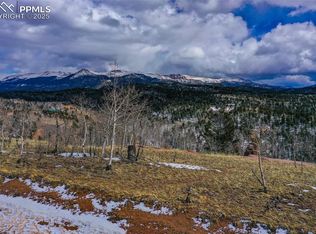 756 Golden Cycle Cir, Cripple Creek, CO 80813