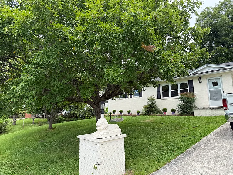 805 Brown Ave — Photo 2