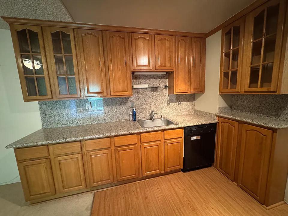 Kitchen cupboards, sink and dishwasher.
